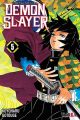 demonslayer05 demonslayer05
