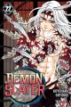 demonslayer22