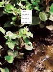 inioasanoshortstories