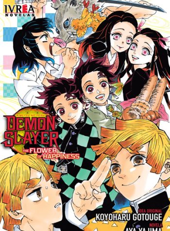 demonslayernovel