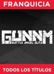 gunnm-f