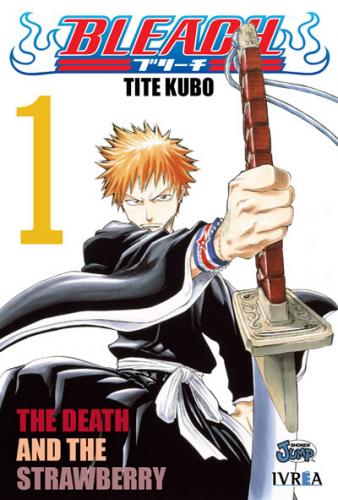bleach_01