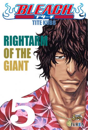 bleach_05