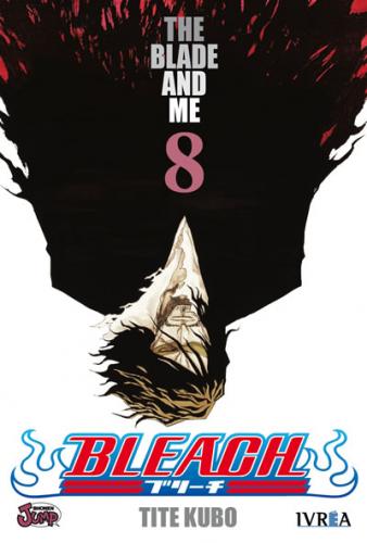 bleach_08
