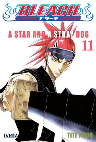 bleach_11