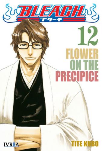 bleach_12