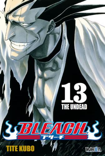 bleach_13