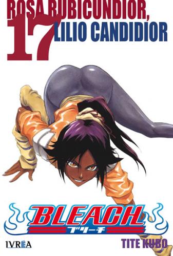 bleach_17
