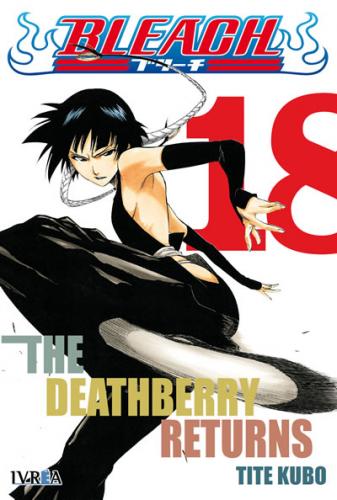 bleach_18