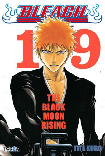 bleach_19