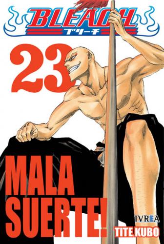 bleach_23