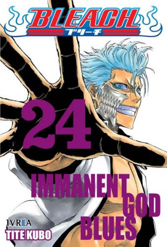 bleach_24