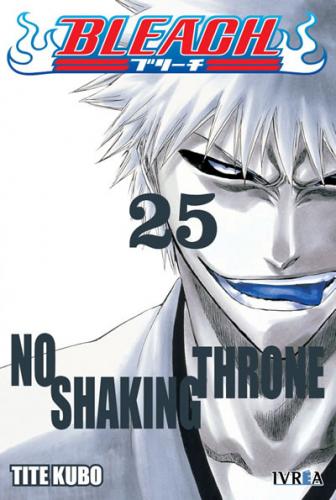 bleach_25