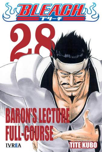 bleach_28