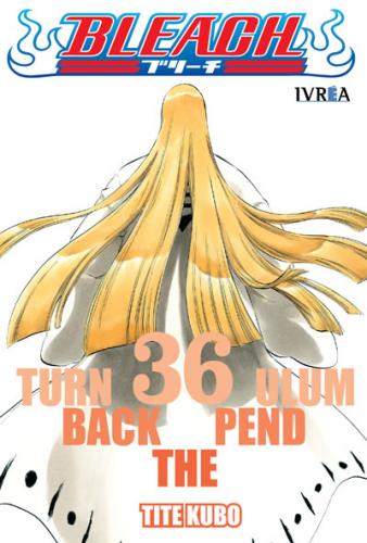 bleach_36