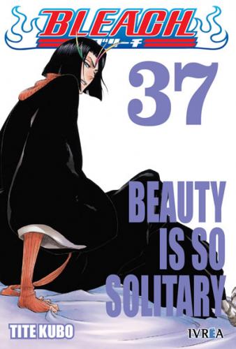 bleach_37
