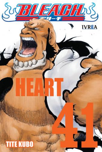 bleach_41