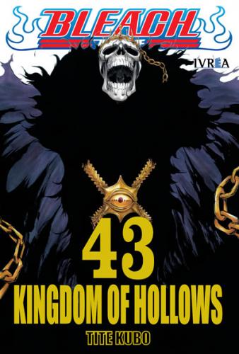 bleach_43