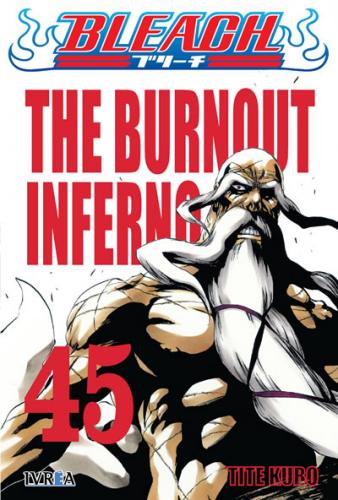 bleach_45