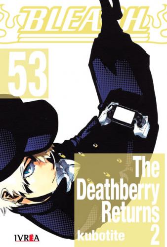 bleach_53