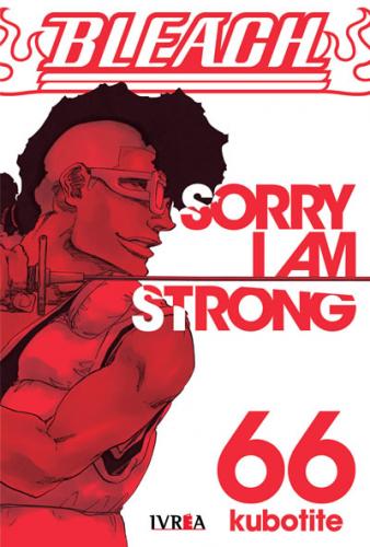 bleach_66