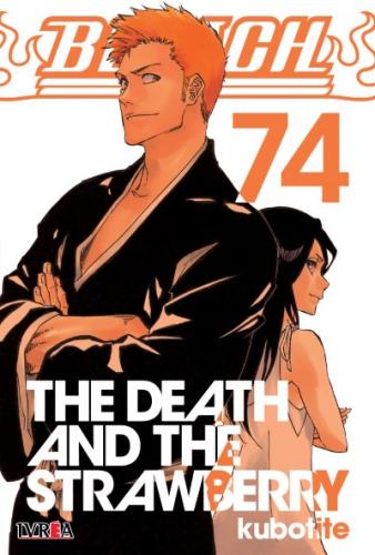 bleach_74
