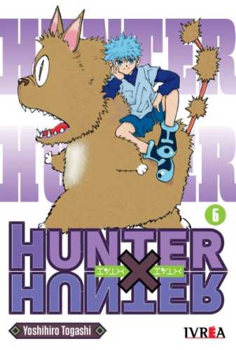 hunterxhunter06