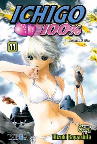ichigo_tapa_11
