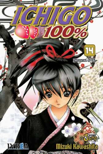 ichigo_tapa_14